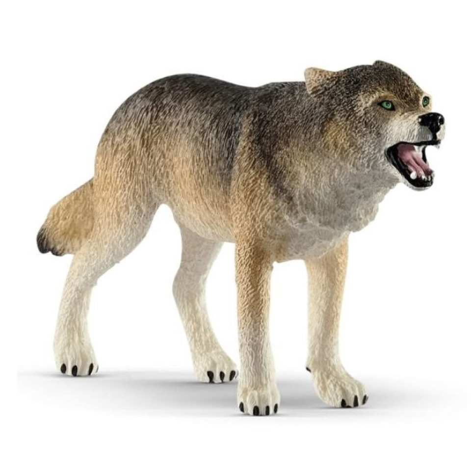 l1.jpg