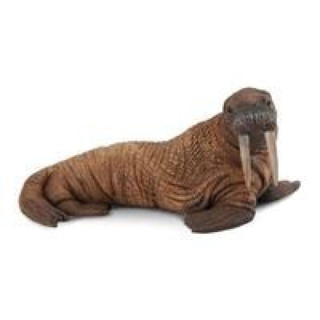 Obrázek produktu Collecta Mrož lední